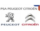 Diagnostic tool for Peugeot Citroen